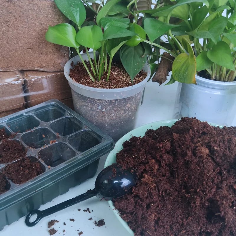 🔥LAST DAY 50% OFF🌱Premium Organic Coconut Coir Bricks for Plants