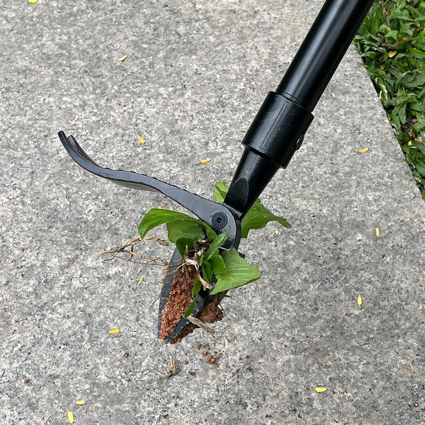 😲No More Bending, Easy Weeding🌿Detachable Stand Up Weed Puller Tool